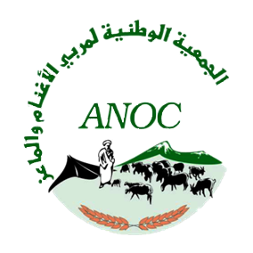 logo icon